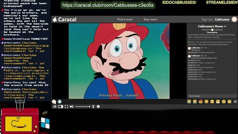 Watching the Mario Anime Movie Remaster - https://caracal.club/room/Cabbusses-c3ec6a