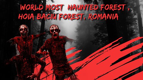 World Most Haunted Forest - Hoia Baciu Forest, Romania