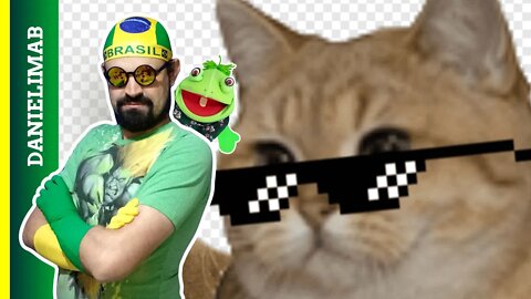 263 - Gatos Engraçadões | Vamos ver uns Vídeos Engraçados