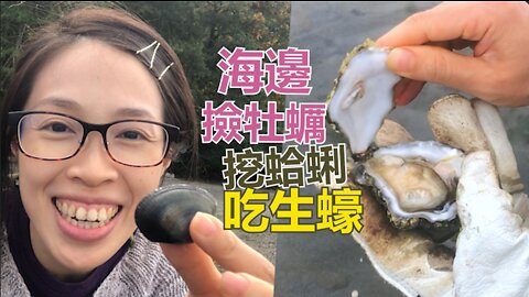 戶外探險｜華盛頓海邊撿牡蠣吃生蠔 徒手挖蛤蜊~多種蛤仔現形！不知不覺就到了捕撈上限 Clamming, Oyster Picking & Eating in Washington State Park