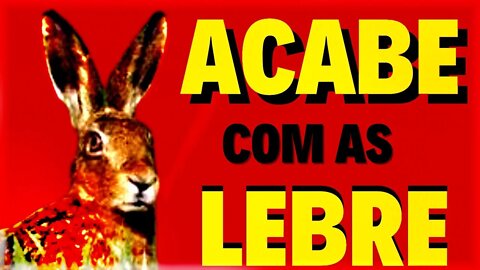 MÉTODO PARA AFASTAR LEBRES NAS PLANTAÇÃO +++ DICAS