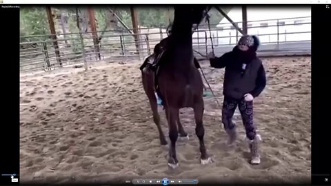 Bully Abusive Trainer Uses Pain & Torture Bit To Abuse Horse - This Is Empowered Strong HorseWomen