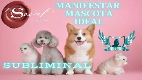 Manifestar Mascota Ideal - Audio Subliminal 2021