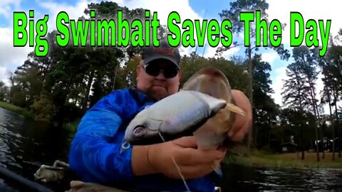 Big Swimbait Saves The Day