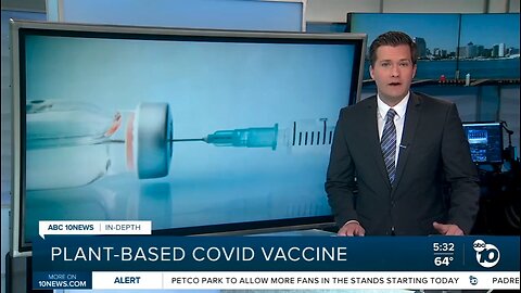 Food Vaccines | Food Vaccines? Plant-Based COVID Vaccines? What is Medicago Creating Food-Based COVID Vaccines?