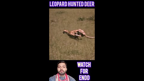 Leopard Hunted Deer