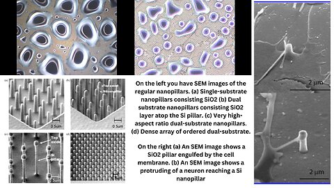 Regular And Unusual Nanopillar Droplet Formation in Timelapse Video