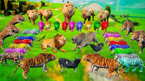 10 Zombie Lions vs Giant Tiger Fight Cow Rescue Woolly Mammoth Animal Epic Battle Wild Animal Fights