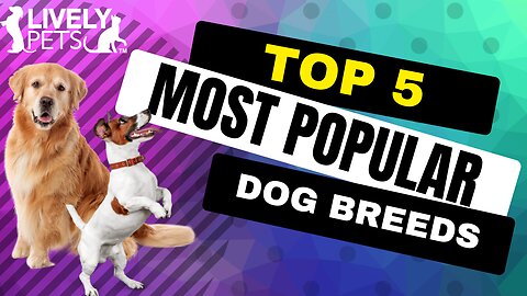 Top 5 Most Popular Dog Breeds