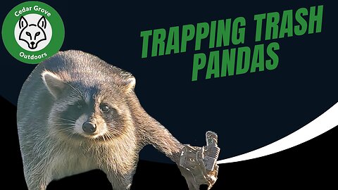 S.2 E.4 Trapping Trash Pandas