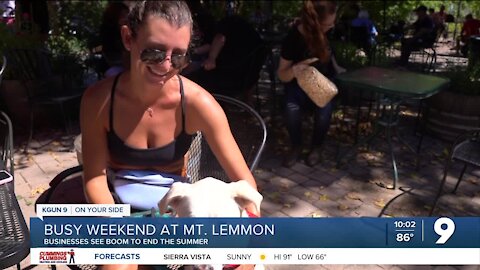 Business booms on Mt. Lemmon this summer