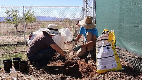 Time to Plant | Artichoke, Asparagus, Herbs, Lilies & Sugar Cane!