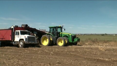 High cost of diesel impacting Coloradans in trucking, farming industries