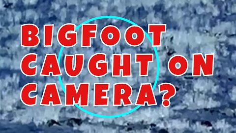 BREAKING: BIG FOOT CAUGHT ON CAMERA?