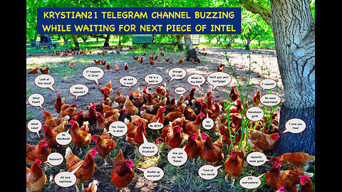 #Krystian21 Channel - 2024-06-01