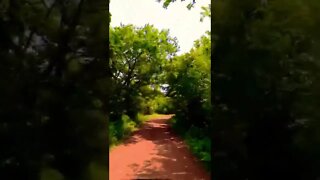 Dirt road to the Kildare Lodge PEI