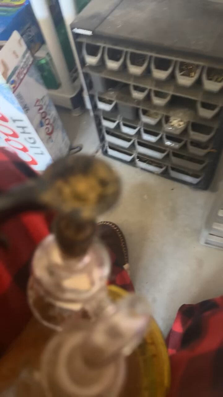 Day 61 The recycle people let my trash fly out of their truck smh