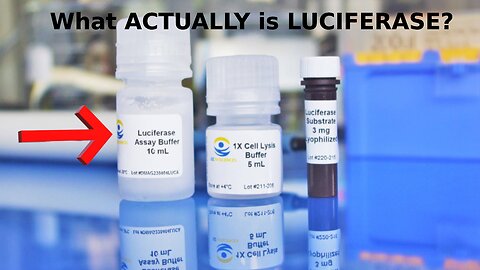 What Really is LUCIFERASE? And How Does it Connect With The Vaccine? EXPLAINED