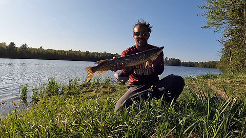 Michigan: Northern Pike