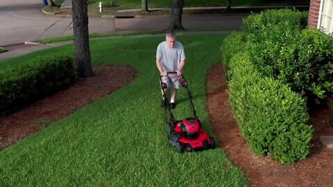 Electric mowers and lawn gear: should you buy?