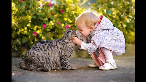 Babies are playing with Cats