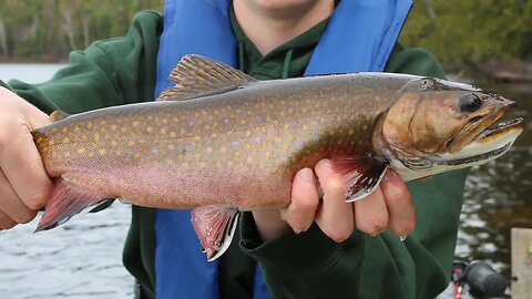 CATCHING EARLY SPRING BROOK TROUT | Northern Ontario 2021