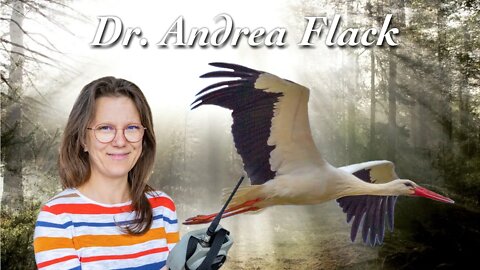 Wunderbare Weißstörche - Dr. Andrea Flack