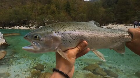 SLO-FLY.COM. Fly Fishing Slovenia. Solo Soča day II.