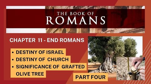 ROMANS PART 4