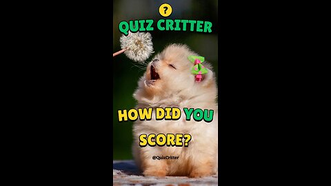 🐰Quiz Critter - How did you do? - Baby Animal Names #short #quiz #animal