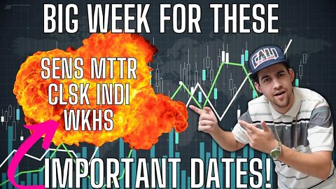 Huge Week For Sens Mttr Clsk Indi Wkhs Stock