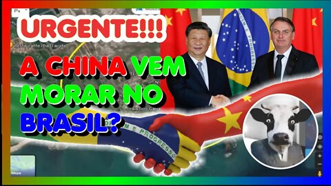 A CHINA VAI MUDAR PARA O BRASIL?