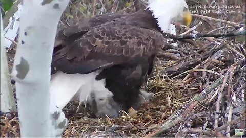 USS Eagles - Mom catches fish in under 1 minute