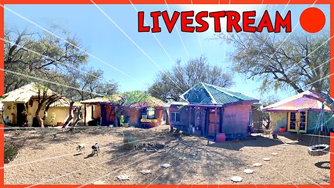 Walk-through Sneak Peek of our Homestead - Earthbag Homes