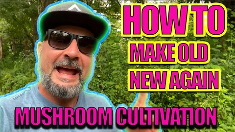 HOW TO MAKE AN OLD CUBENSIS BED NEW AGAIN