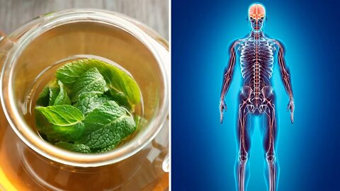 5 Powerful Health Benefits of Lemon Balm (Melissa Essential Oil)