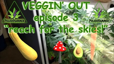 VEGGIN' OUT! w/ PolishHammer Episode 3 "Reach for the Skies!" #SalvageOperation 🥦🍑🍆🔨