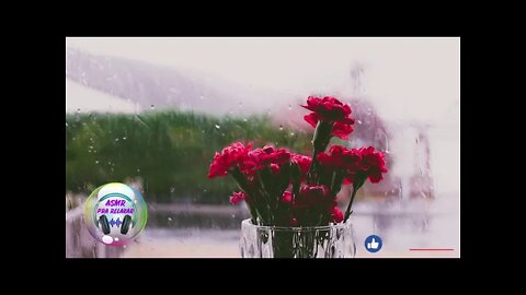 SOM DE CHUVA PRA DORMIR RÁPIDO ⛈ RAIN SOUND 😴 RELAX - ASMR PRA RELAXAR