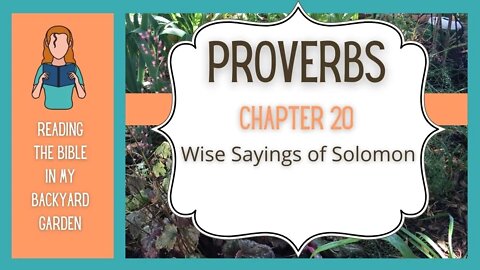 Proverbs Chapter 20 | NRSV Bible