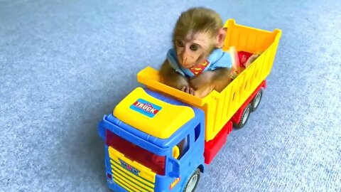 Cute, Funny, Gracious Little Monkey, see what he does!!! #shorts