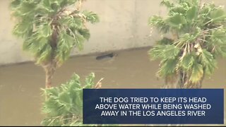 2 people, dog rescued from river as storm douses California