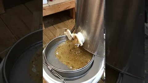 Lesson in honey extraction 2