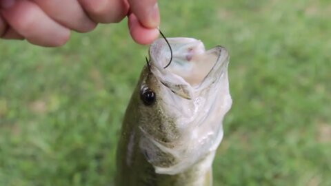 Man holding fish on hook