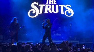 The Struts