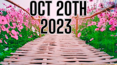 Oct 20th 2023