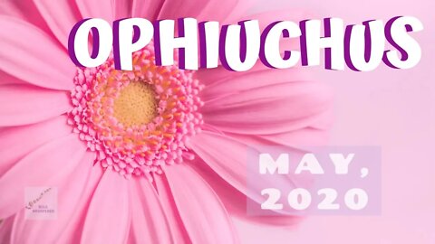 ⛎ OPHIUCHUS ⛎: You'll Still Be Standing * May 2020