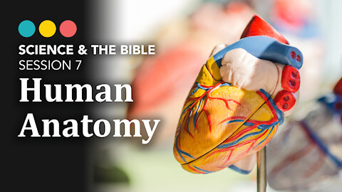 Science &The Bible | Session 7: Human Anatomy 8/11