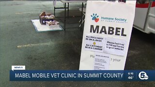 Mabel Mobile Vet Clinic in Summit County