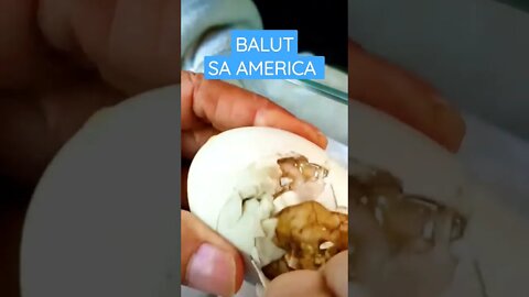 BALUT SA AMERICA