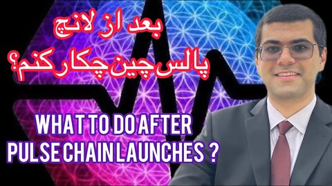 What to do when pulse chain launches?? Farsi Explained - #HEX #PLS #PLSX